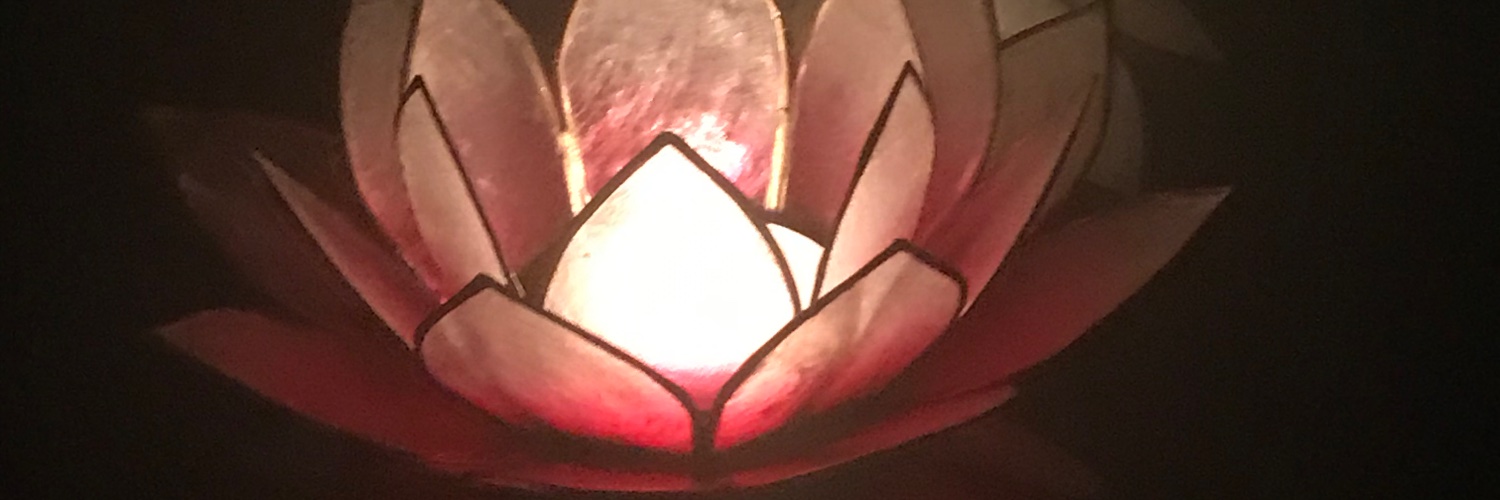 MaialeTerryer's profile banner image