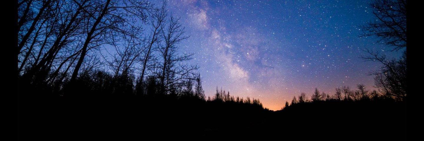 DyingToFilm's profile banner image