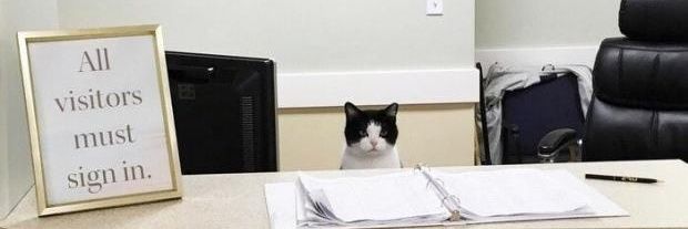 러핑 banner