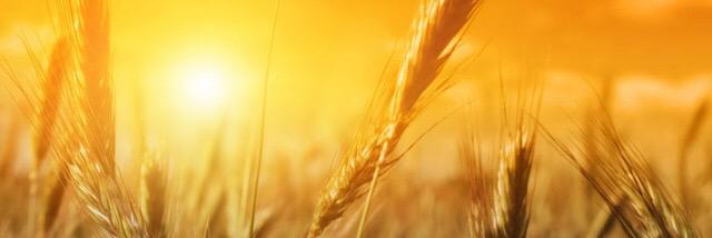 WebberTerry's profile banner image