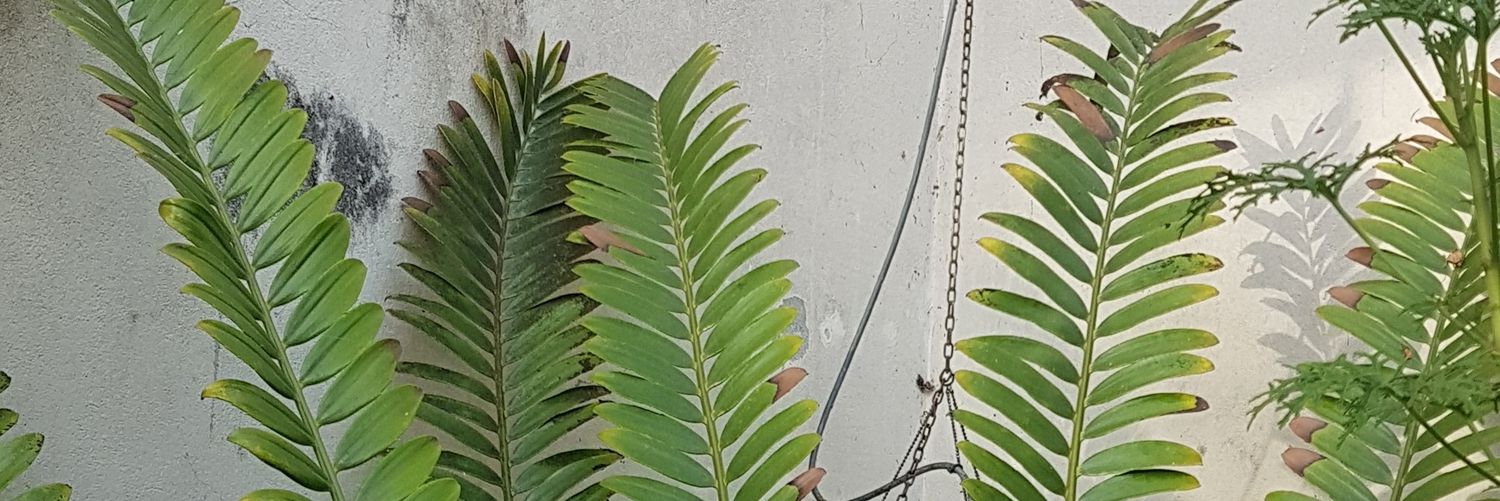 Emily_leedale's profile banner image