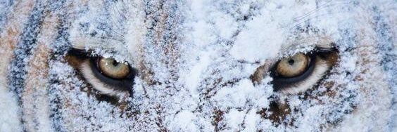 letsblowfuture's profile banner image