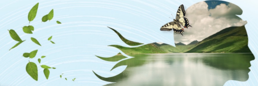 Vergnier7's profile banner image