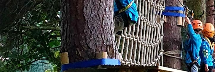 EVERGREEN beavers banner