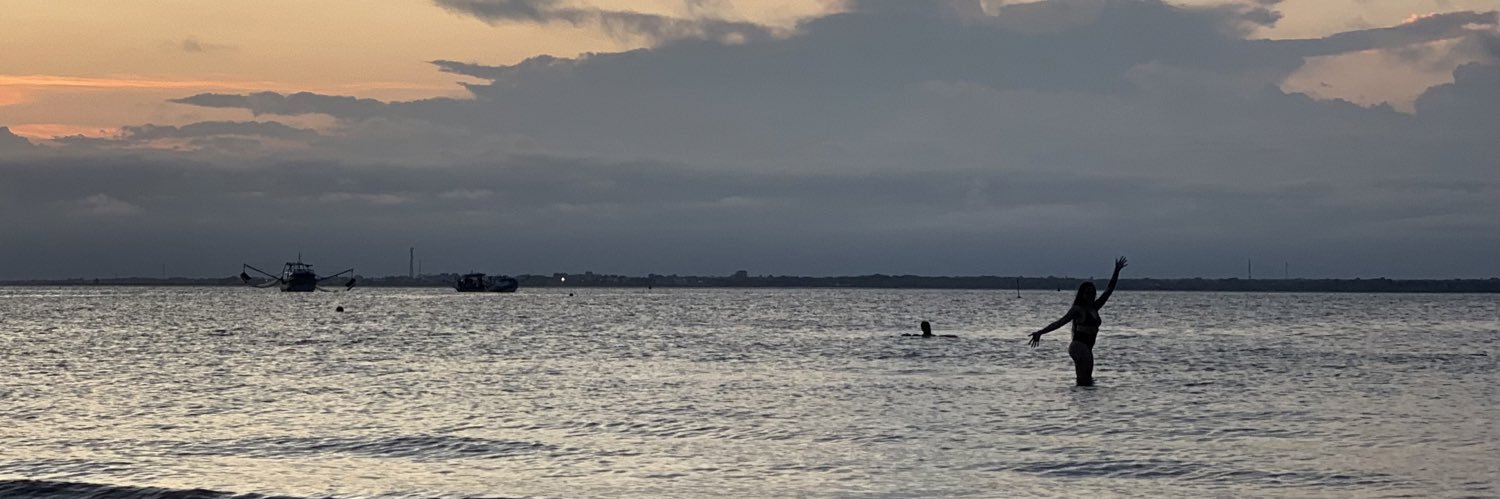 Fr4ncielee's profile banner image
