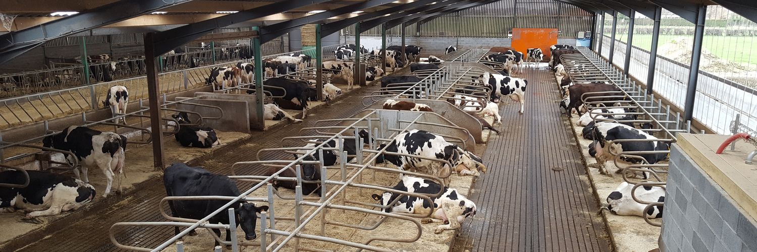 Anne-Sophie Delassus banner