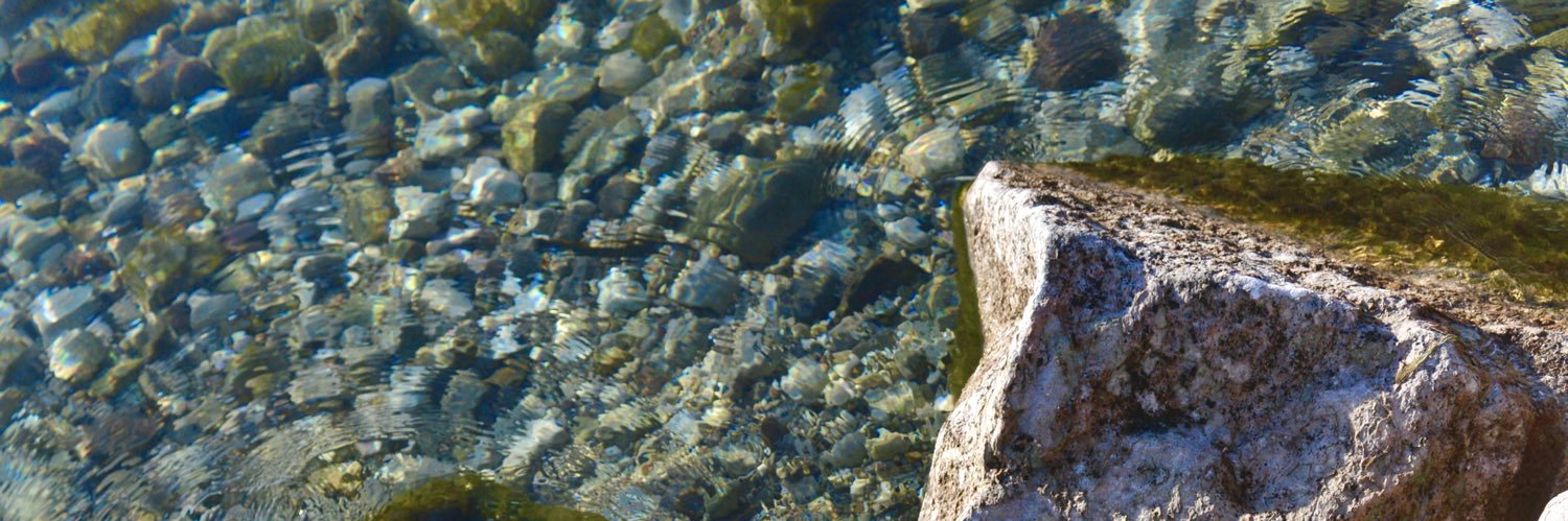 sydneycelam's profile banner image