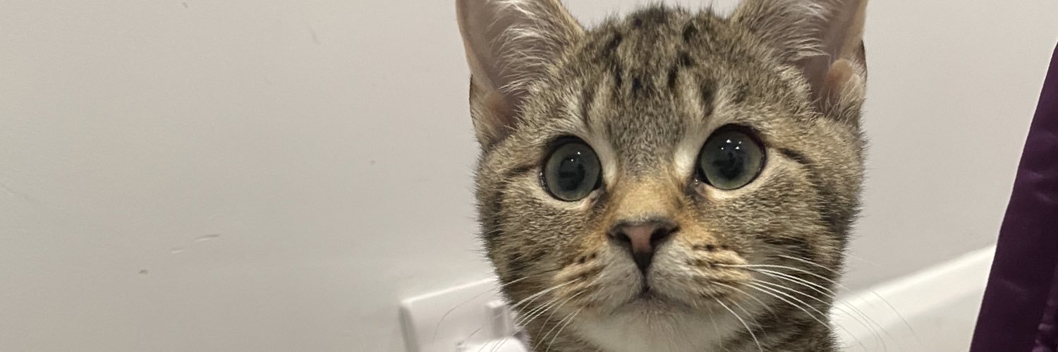 Connor Kirkbright banner