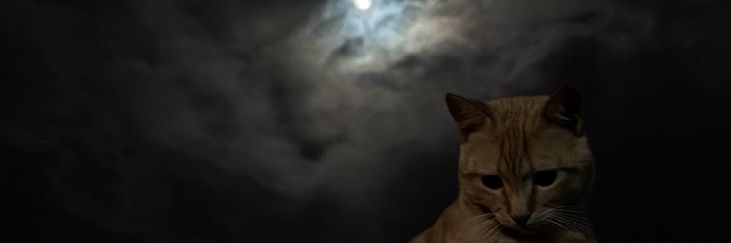 x1raid's profile banner image