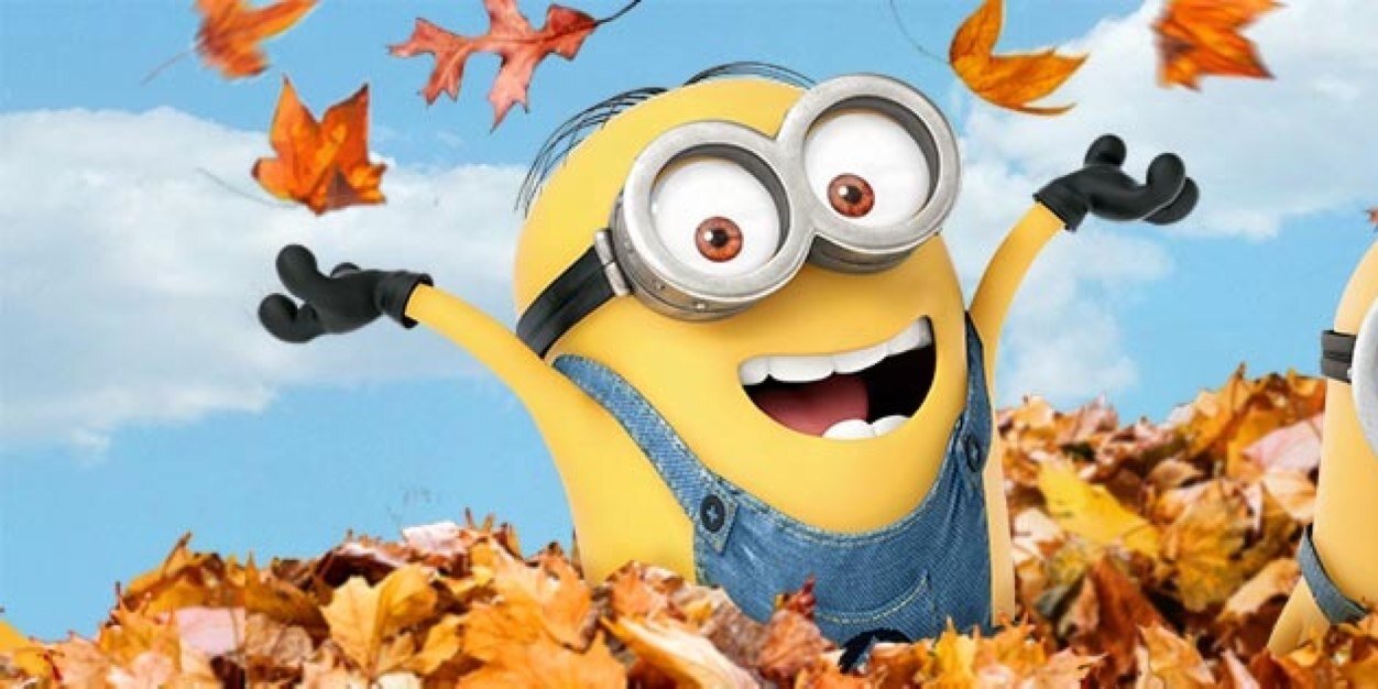 WordsOfAMinion's profile banner image