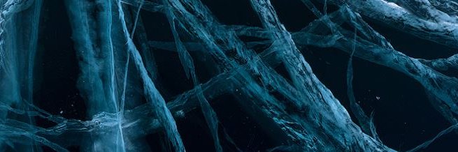 torogaogirl's profile banner image