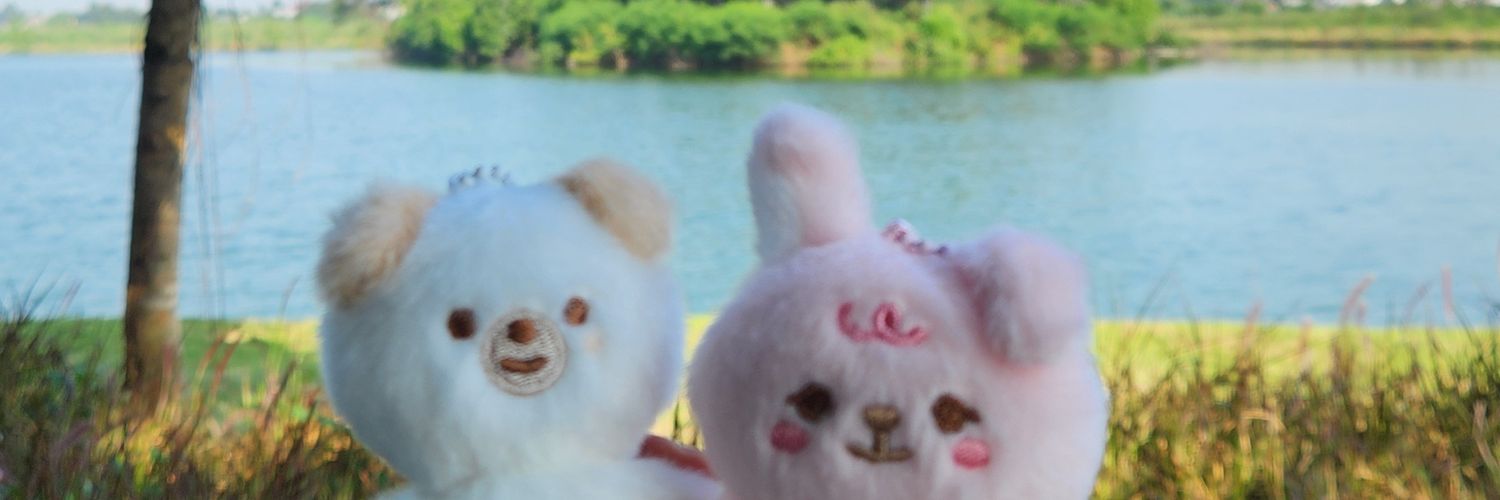va¹ banner