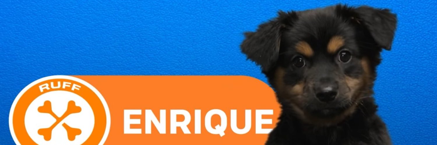 LootLakeLegend's profile banner image