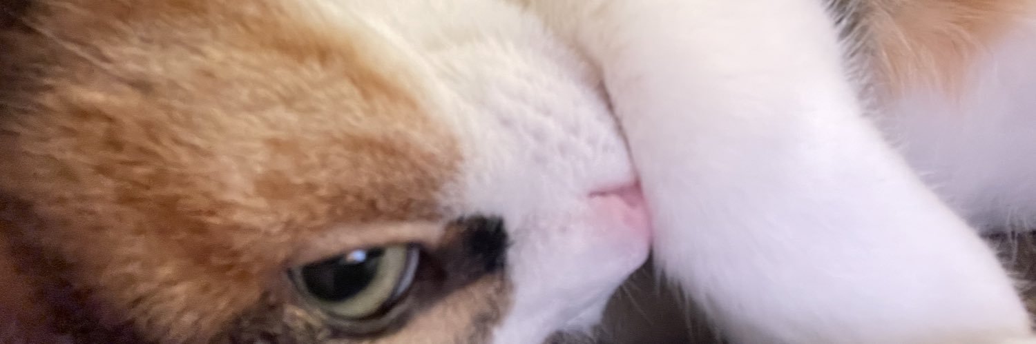 PaulPrw's profile banner image