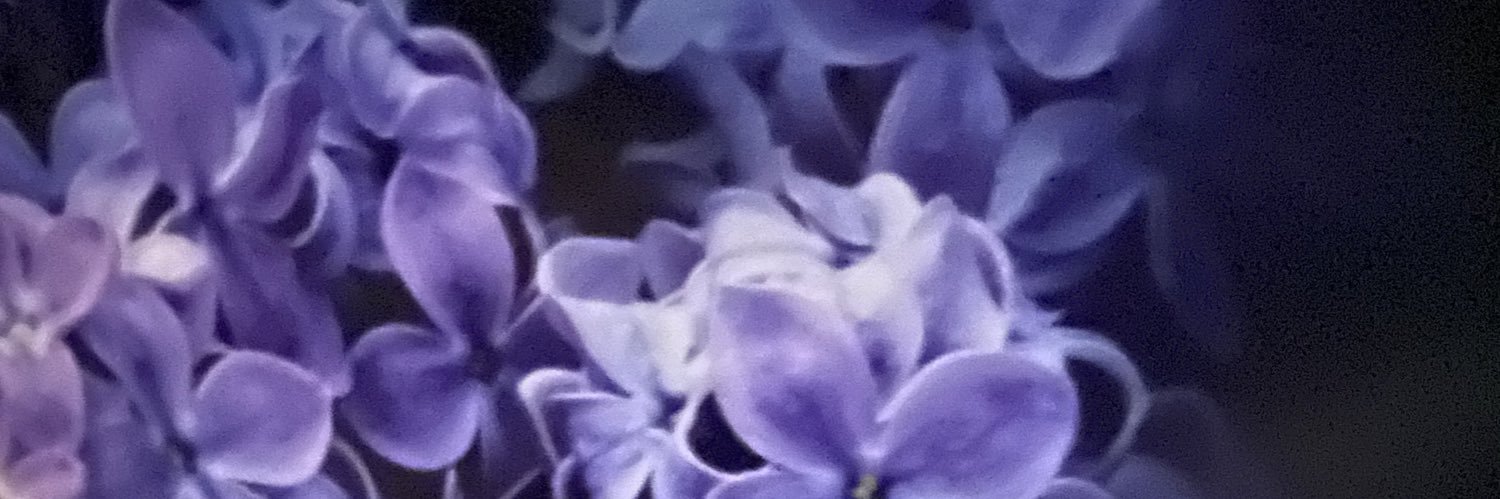 MelissaBaggette's profile banner image