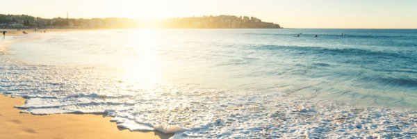CourtSosebee Profile Banner