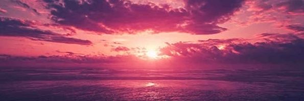 wingshwa's profile banner image