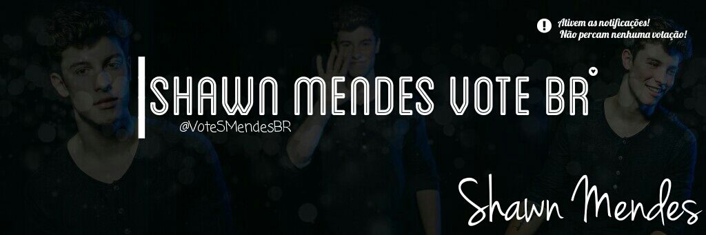 VoteSMendesBR's profile banner image