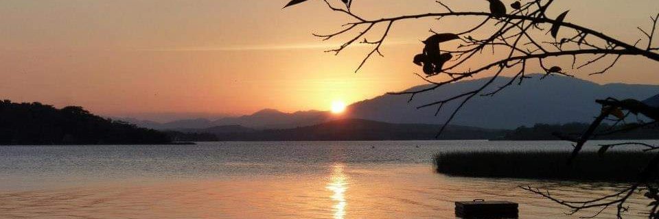 Olivia Fontanillo banner