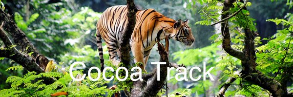 Cocoa_Track Profile Banner