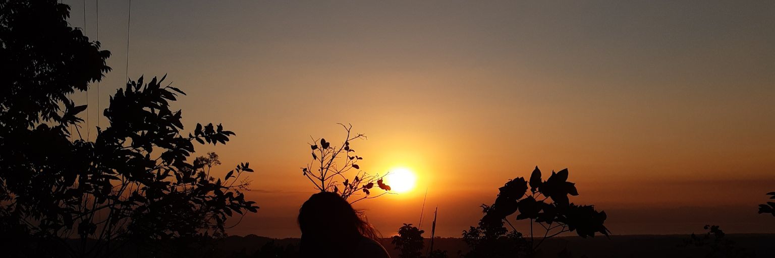 iamiple's profile banner image