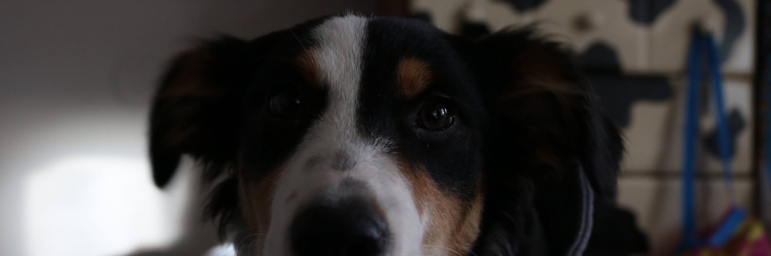 donna_nirvana's profile banner image