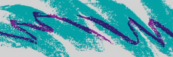 stn025_ Profile Banner