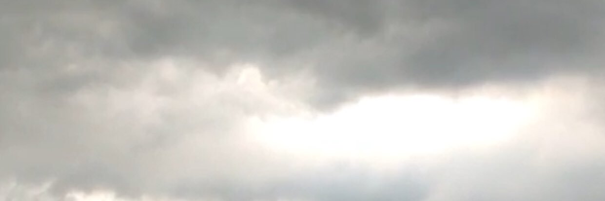 •~• banner