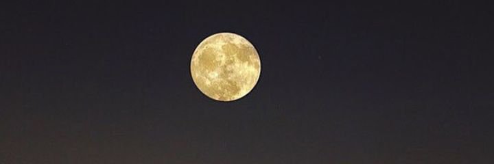 cuttysarkk's profile banner image
