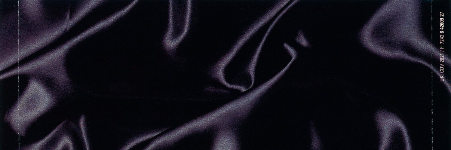 capevulture's profile banner image