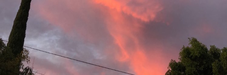 ximcgallardo's profile banner image