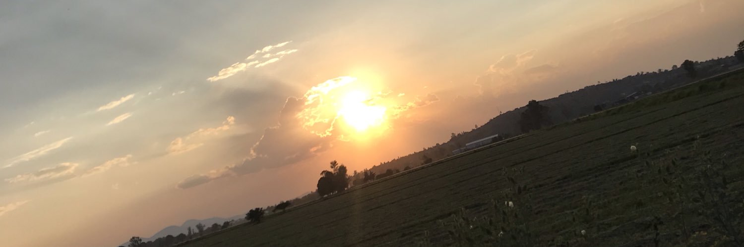allexandrauc's profile banner image