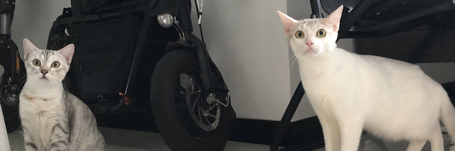 DJLionel00's profile banner image