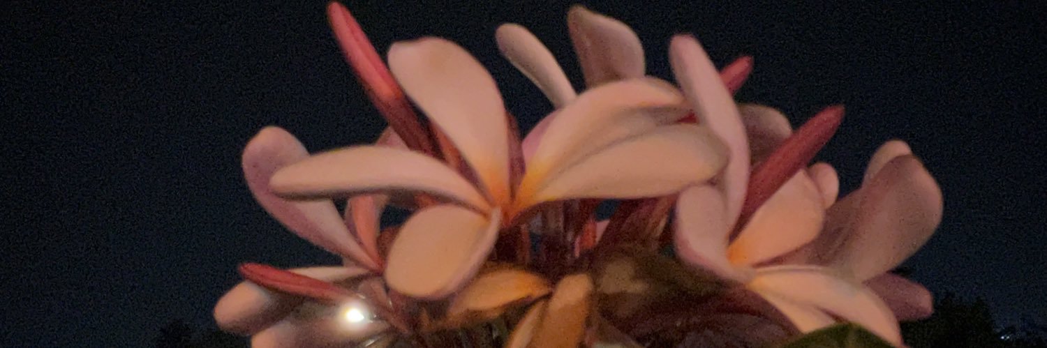 aneeshmuthyala's profile banner image