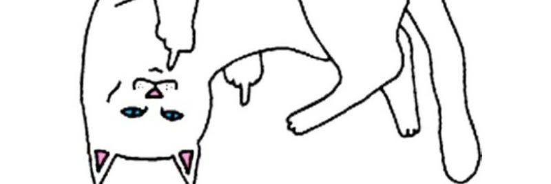 chereppp's profile banner image
