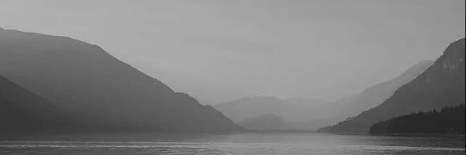 𝙱𝚞𝚋𝚋𝚕𝚎𝙱𝚎𝚊𝚛🤍 banner