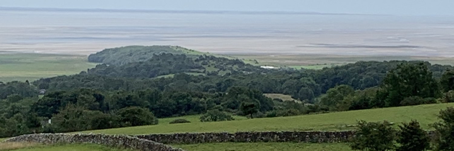 Ev 💙💛🌻 banner