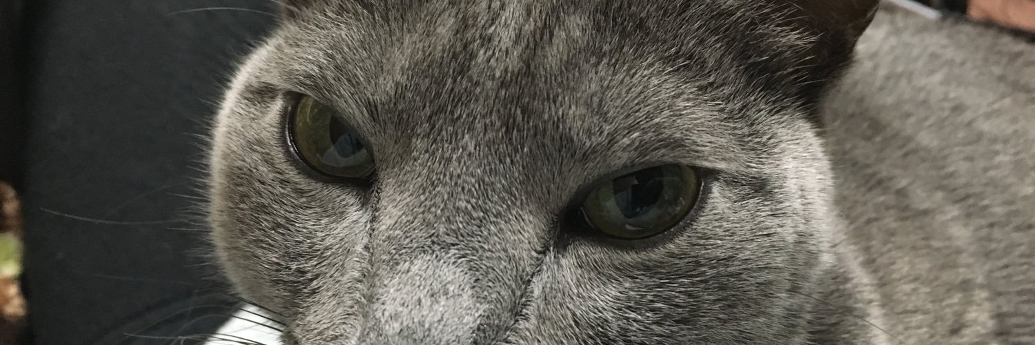 mgr600rr's profile banner image