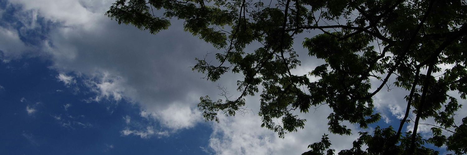 vitoku_jp's profile banner image