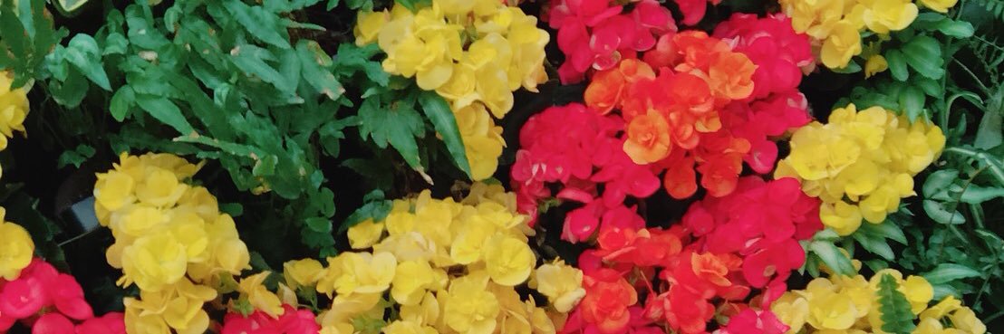 . banner