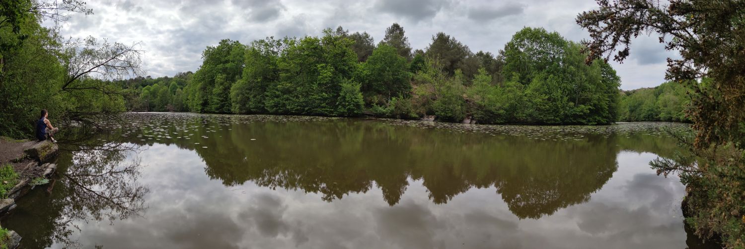 pititphoenix's profile banner image