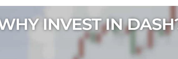 Dashiell Bennett banner