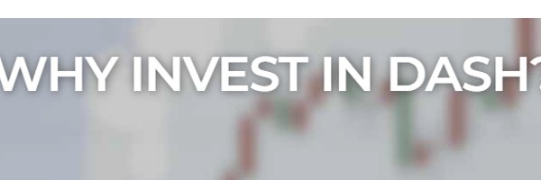 dashbot Profile Banner