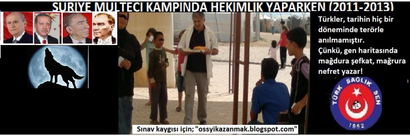 Tahsin ÇELİK banner