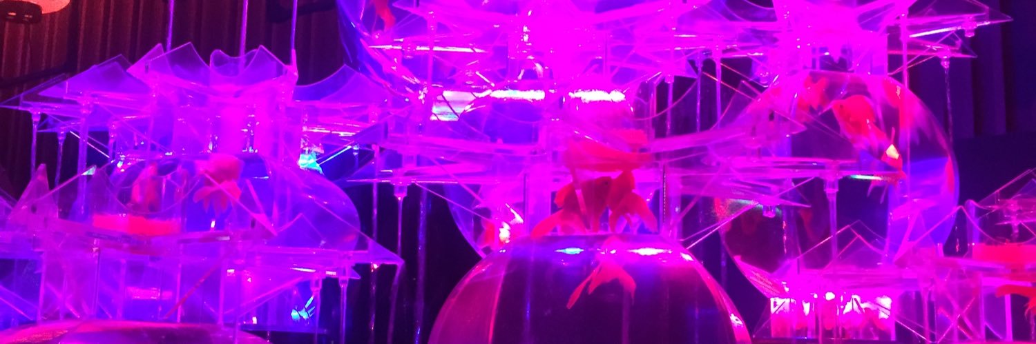 l_a_l_f's profile banner image