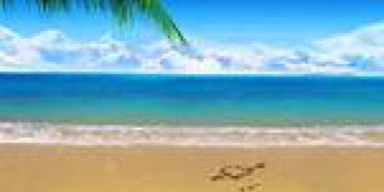 AngieBechstein's profile banner image