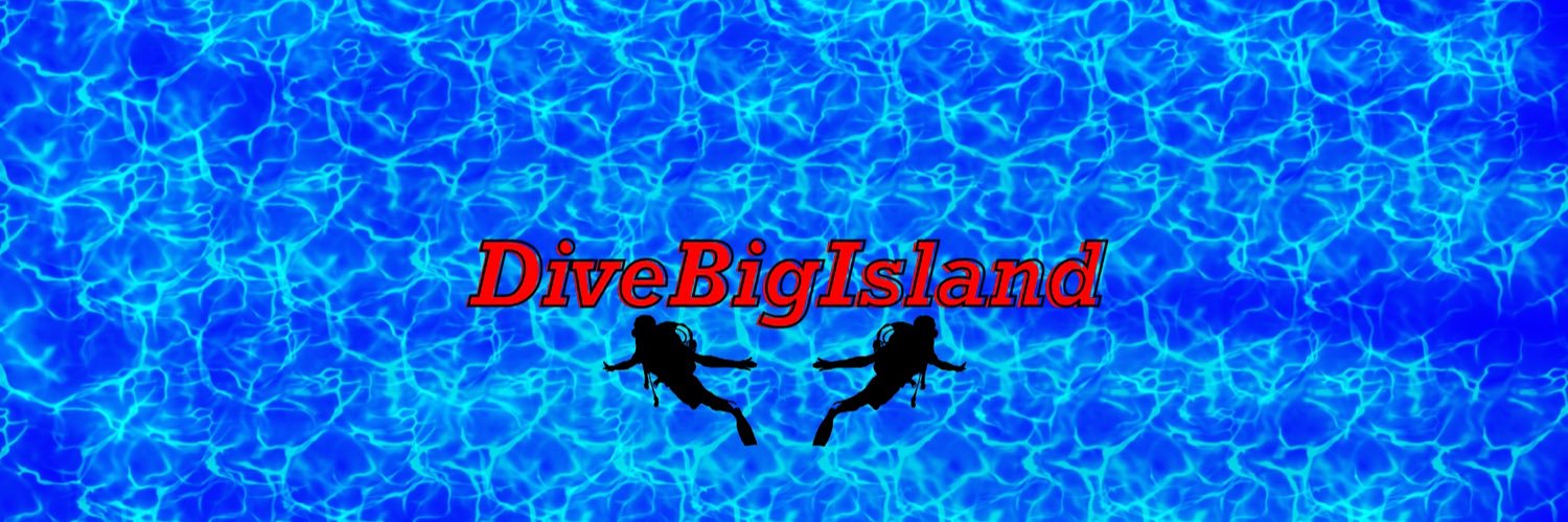 DiveBigIsland banner