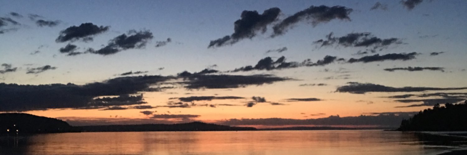 Sarah_CWilliams's profile banner image