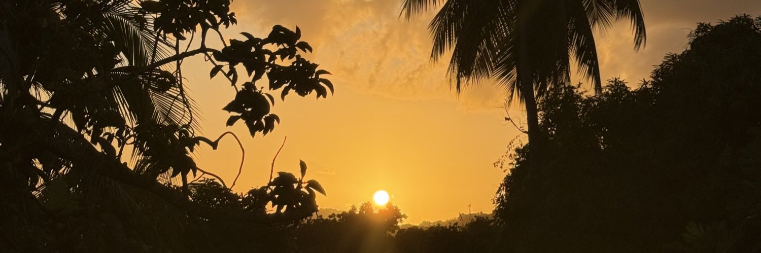 IslandGirl 🌴 banner