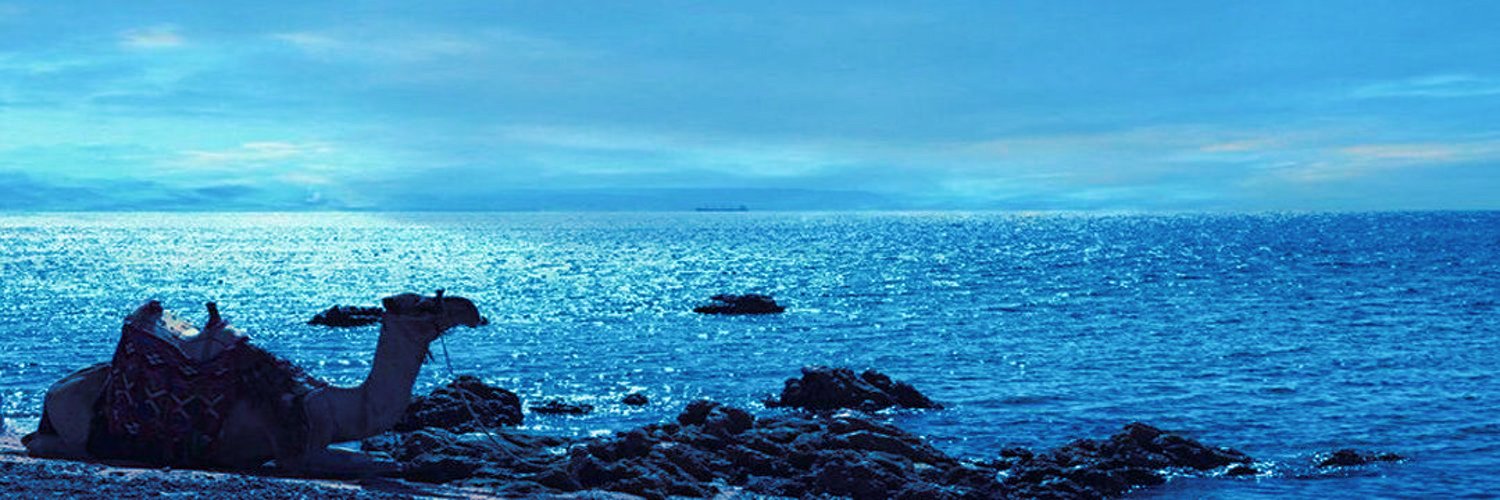 بشار بن بُرد banner